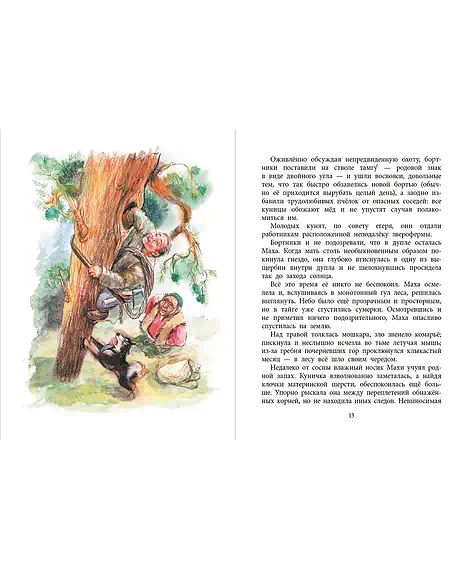 Детская книга "НМ Зиганшин. Маха, или История жизни кунички" - 520 руб. Серия: Наша марка , Артикул: 5701037