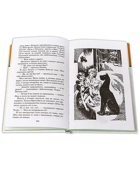 Детская книга "ШБ Соломко.Белая лошадь-горе не мое" - 208 руб. Серия: Школьная библиотека, Артикул: 5200323