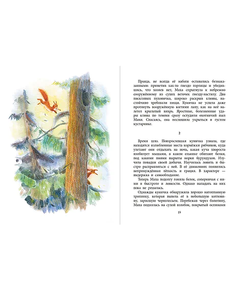 Детская книга "НМ Зиганшин. Маха, или История жизни кунички" - 520 руб. Серия: Наша марка , Артикул: 5701037