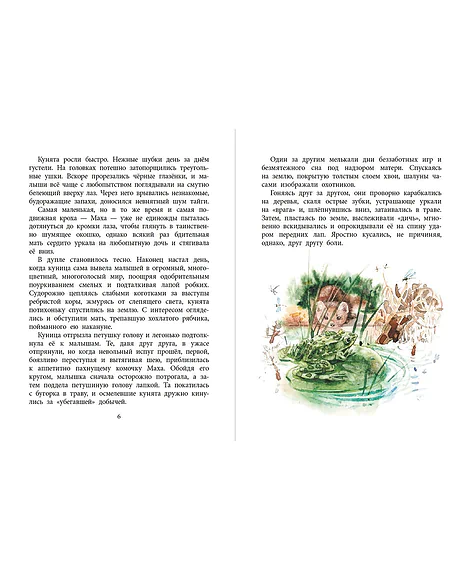 Детская книга "НМ Зиганшин. Маха, или История жизни кунички" - 520 руб. Серия: Наша марка , Артикул: 5701037