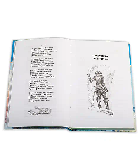 Детская книга "ШБ Гумилев. "Я конквистадор в панцире железном..."" - 360 руб. Серия: Школьная библиотека, Артикул: 5200201