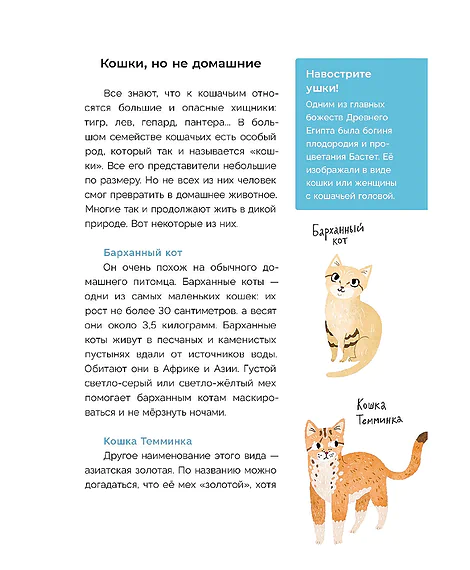Детская книга "Ухаживаю за питомцем. Хочу котенка!" - 530 руб. Серия: Книжные новинки, Артикул: 5330002