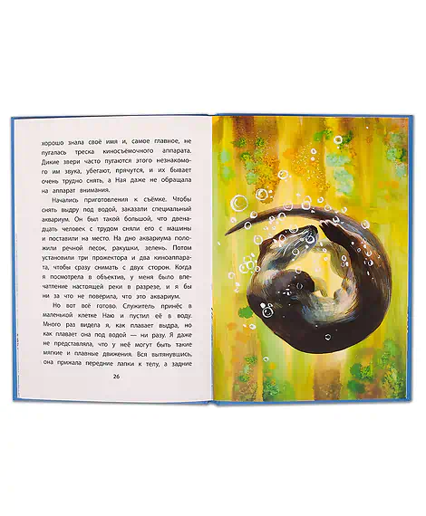 Детская книга "КзК Чаплина. Ная - выдрёнок (тверд переплет)" - 300 руб. Серия: Книга за книгой , Артикул: 5400508