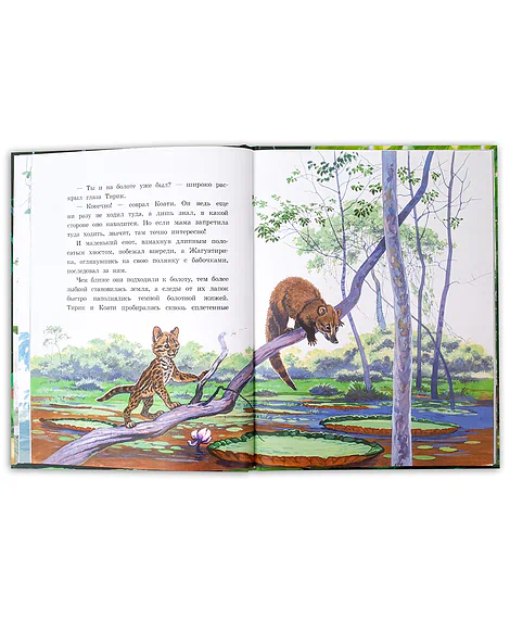 Детская книга "Яровой. Приключения Тирика и Коати" - 400 руб. Серия: Самый лучший подарок , Артикул: 5900014