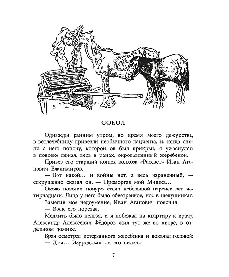 Детская книга "ВД Великанов. Пират, ищи!" - 550 руб. Серия: Военное детство , Артикул: 5800830