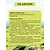 Детская книга "Конопатова. Птичий остров" - 832 руб. Серия: МАРАКУЙЯ (Young Adult), Артикул: 5404021
