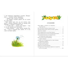 Детская книга "НМ Бабурова. Бурквиль" - 638 руб. Серия: Наша марка , Артикул: 5701031