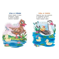 Детская книга "ИУ Шестакова. Домашние животные" - 79 руб. Серия: Школа кота в сапогах , Артикул: 5506008