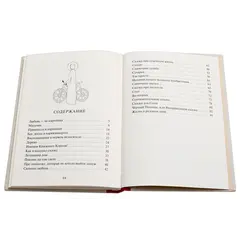 Детская книга "Столяров. Неправильная сказка" - 451 руб. Серия: Пятый переплёт , Артикул: 5400421