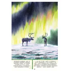 Детская книга "Леднева. Путешествие на Кольский" - 890 руб. Серия: Книги сторонних производителей, Артикул: 00000004