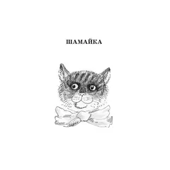 Детская книга "ШБ Коваль. Шамайка" - 374 руб. Серия: Школьная библиотека, Артикул: 5200228