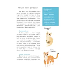 Детская книга "Ухаживаю за питомцем. Хочу котенка!" - 561 руб. Серия: Книжные новинки, Артикул: 5330002