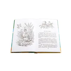 Детская книга "ШБ Бианки. Чей нос лучше?" - 451 руб. Серия: Школьная библиотека, Артикул: 5200184