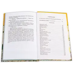 Детская книга "ШБ Пришвин. Кладовая солнца" - 424 руб. Серия: Школьная библиотека, Артикул: 5200180