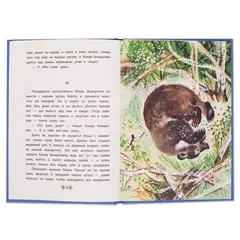 Детская книга "КзК Мамин-Сибиряк. Алёнушкины сказки (тверд переплет)" - 366 руб. Серия: Книга за книгой , Артикул: 5400504