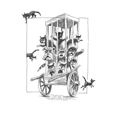 Детская книга "ШБ Коваль. Шамайка" - 404 руб. Серия: Школьная библиотека, Артикул: 5200228