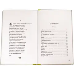 Детская книга "Николай Гумилев" - 352 руб. Серия: Поэзия юности , Артикул: 5220005