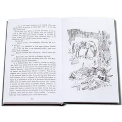 Детская книга "БИ Мериме. Кармен (рус и фр яз)" - 504 руб. Серия: Билингва , Артикул: 5400316