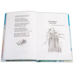 Детская книга "ШБ Гумилев. "Я конквистадор в панцире железном..."" - 392 руб. Серия: Школьная библиотека, Артикул: 5200201