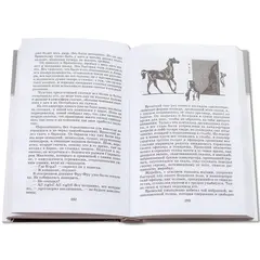Детская книга "ШБ Толстой Л. Анна Каренина т1(в2т)" - 652 руб. Серия: Школьная библиотека, Артикул: 5200220