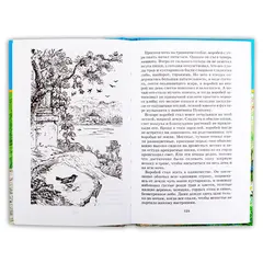 Детская книга "ШБ Платонов. Неизвестный цветок" - 535 руб. Серия: Школьная библиотека, Артикул: 5200149