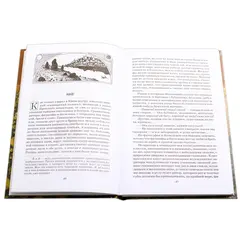 Детская книга "ШБ Гоголь. Старосветские помещики" - 366 руб. Серия: Школьная библиотека, Артикул: 5200118