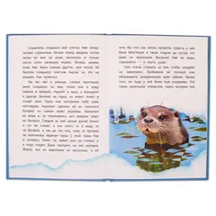 Детская книга "КзК Чаплина. Ная - выдрёнок (тверд переплет)" - 316 руб. Серия: Книга за книгой , Артикул: 5400508
