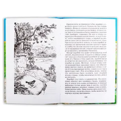 Детская книга "ШБ Платонов. Неизвестный цветок" - 535 руб. Серия: Школьная библиотека, Артикул: 5200149