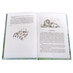 Детская книга "ШБ Куприн. Белый пудель" - 428 руб. Серия: Школьная библиотека, Артикул: 5200142