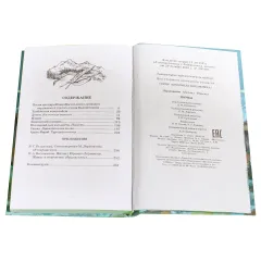 Детская книга "ШБ Лермонтов. Поэмы" - 510 руб. Серия: Школьная библиотека, Артикул: 5200072