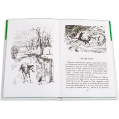 Детская книга "ШБ Паустовский. Заячьи лапы" - 715 руб. Серия: 5 класс, Артикул: 5200174