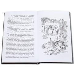 Детская книга "БИ Мериме. Кармен (рус и фр яз)" - 460 руб. Серия: Билингва , Артикул: 5400316