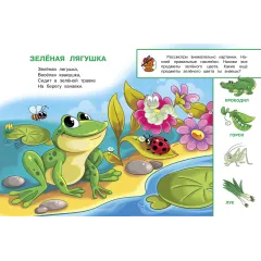 Детская книга "ИУ Шестакова. Цвета" - 83 руб. Серия: Школа кота в сапогах , Артикул: 5506001