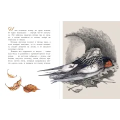 Детская книга "Андерсен. Дюймовочка" - 750 руб. Серия: Самый лучший подарок , Артикул: 5900026