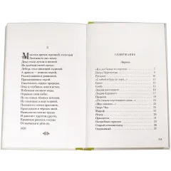 Детская книга "Николай Гумилев" - 320 руб. Серия: Поэзия юности , Артикул: 5220005