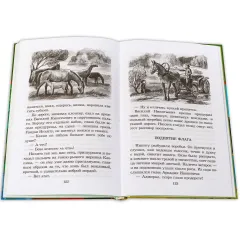 Детская книга "ШБ Толстой А. Детство Никиты" - 416 руб. Серия: Школьная библиотека, Артикул: 5200371