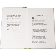 Детская книга "Николай Гумилев" - 320 руб. Серия: Поэзия юности , Артикул: 5220005