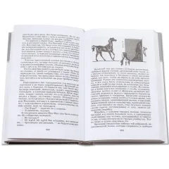 Детская книга "ШБ Толстой Л. Анна Каренина т1(в2т)" - 595 руб. Серия: Школьная библиотека, Артикул: 5200220
