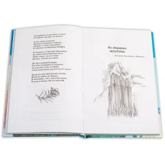 Детская книга "ШБ Гумилев. "Я конквистадор в панцире железном..."" - 360 руб. Серия: Школьная библиотека, Артикул: 5200201