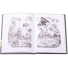 Детская книга "НМ Мошковский. Заблудившийся звездолёт" - 550 руб. Серия: Наша марка , Артикул: 5701023