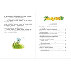 Детская книга "НМ Бабурова. Бурквиль" - 610 руб. Серия: Наша марка , Артикул: 5701031