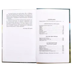 Детская книга "ШБ Носов Е. Красное вино Победы" - 540 руб. Серия: Школьная библиотека, Артикул: 5200294