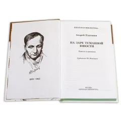 Детская книга "ШБ Платонов. На заре туманной юности" - 720 руб. Серия: Школьная библиотека, Артикул: 5200179