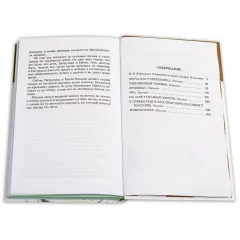 Детская книга "ШБ Платонов. На заре туманной юности" - 720 руб. Серия: Школьная библиотека, Артикул: 5200179