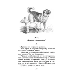 Детская книга "ШБ Сетон-Томпсон. Рассказы о животных" - 390 руб. Серия: Школьная библиотека, Артикул: 5200103