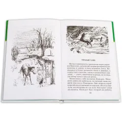 Детская книга "ШБ Паустовский. Заячьи лапы" - 650 руб. Серия: 5 класс, Артикул: 5200174