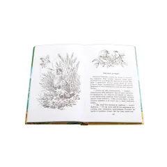 Детская книга "ШБ Бианки. Чей нос лучше?" - 450 руб. Серия: Школьная библиотека, Артикул: 5200184