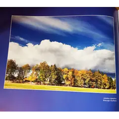 Детская книга "Мир глазами детей, фотоальбом" - 550 руб. Серия: Выгрузка, Артикул: 5900020