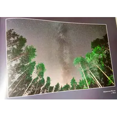 Детская книга "Мир глазами детей, фотоальбом" - 550 руб. Серия: Выгрузка, Артикул: 5900020