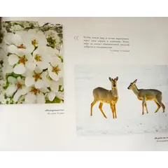 Детская книга "Мир глазами детей, фотоальбом" - 550 руб. Серия: Выгрузка, Артикул: 5900020